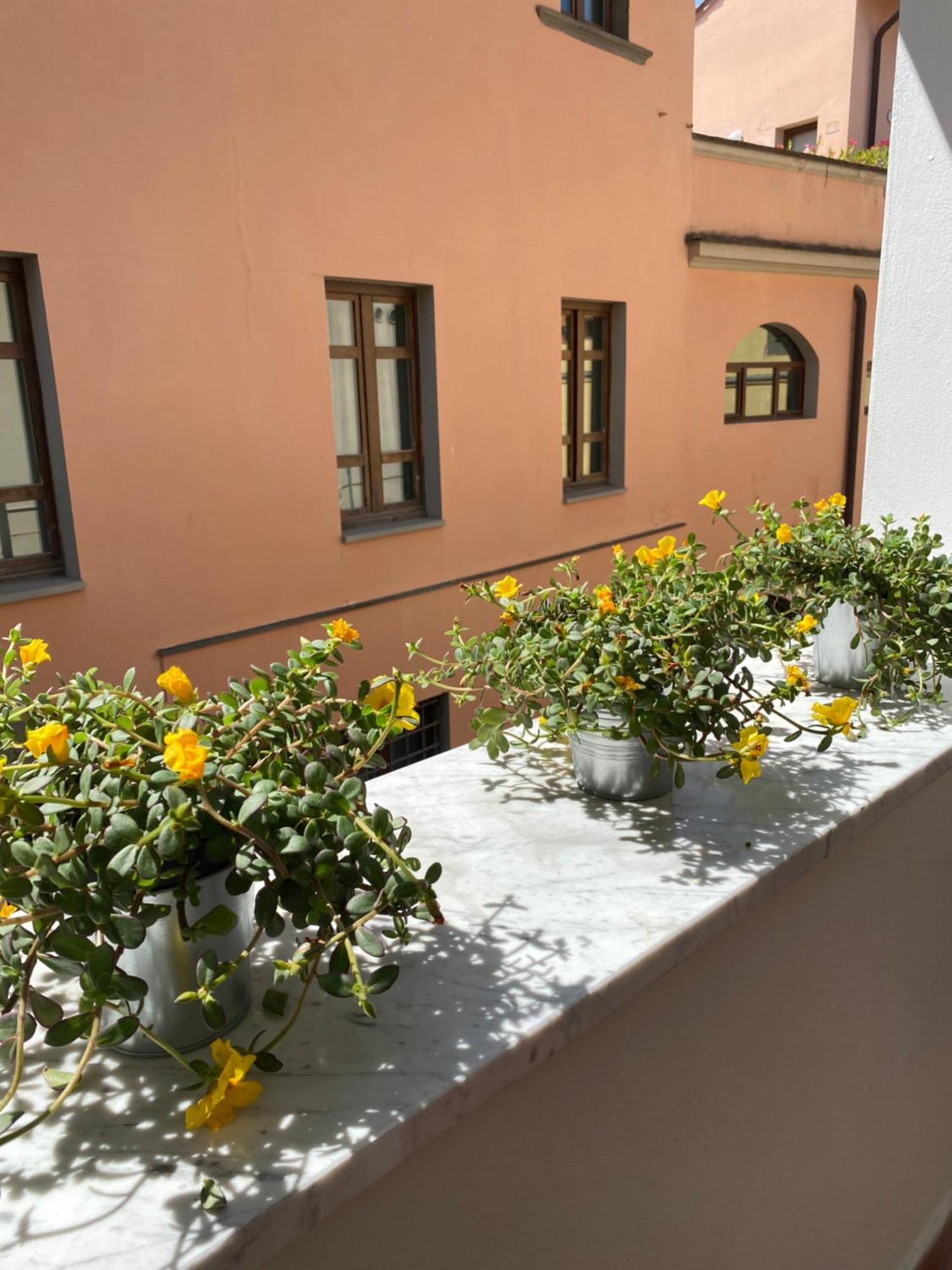 Blom Apartments Pisa Luaran gambar